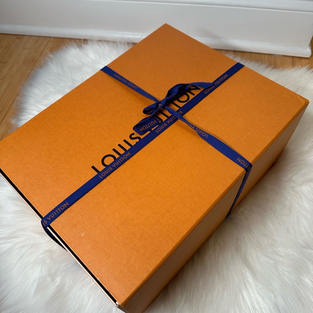 Louis Vuitton Run Away Sneakers - Picture 9 of 10